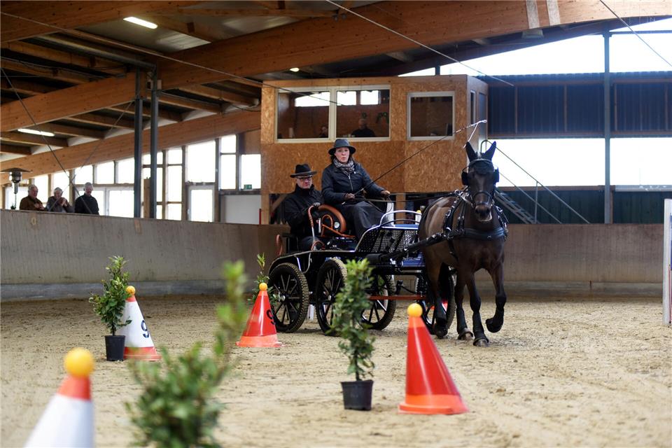 Kutschen setzten sich am Sonntag in Nordvelen in Bewegung. Dabei geht‘s auch um Punkte für die Sicon-Cup-Wertung.