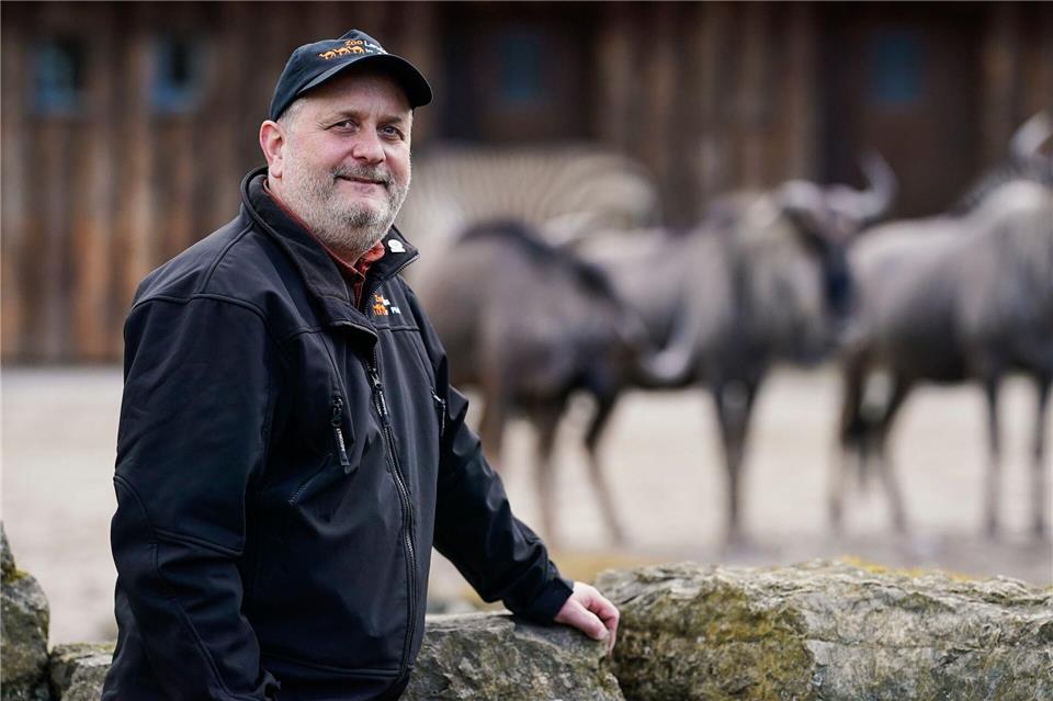 Landaus Direktor Heckel beklagt, dass grundlegende Vorschriften missachtet würden. (Archivbild)Uwe Anspach/dpa