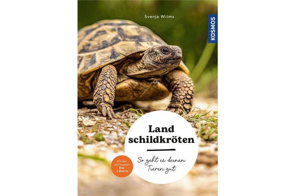 „Landschildkröten. So geht es deinen Tieren gut“, Svenja Wilms, Kosmos Verlag, 96 Seiten, 12 Euro, ISBN: 978-3-440-17848-5.Kosmos Verlag/dpa-tmn