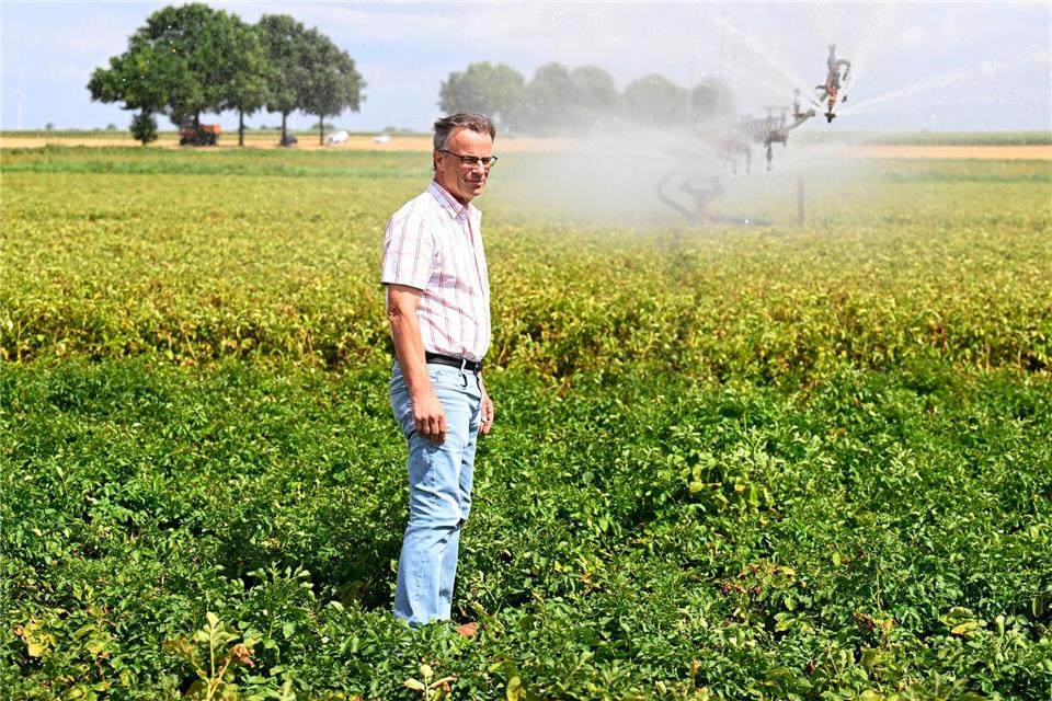 Landwirt Alois Keutmann steht in einem Feld mit Kartoffel, das beregnet wird. Roberto Pfeil/dpa