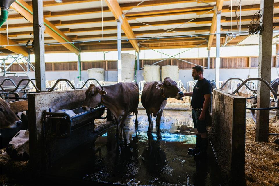 Landwirt Andreas Lorenz kümmert sich um seine Tiere.Philipp von Ditfurth/dpa