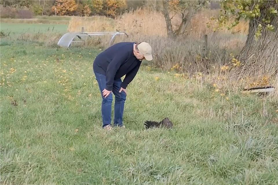 Landwirt Holger Nöhrnberg steht neben einem toten Vogel in der Nähe seines landwirtschaftlichen Betriebes. Jörn Hüneke/dpa