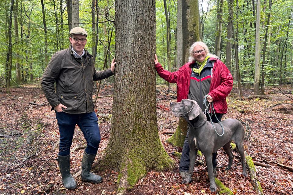 Landwirt Josef Keppelhoff-Niewerth und Försterin Andrea Balke zeigen die Stileichen, die in einem Velener Privatwald als Saatgutbestand ausgewiesen worden sind.