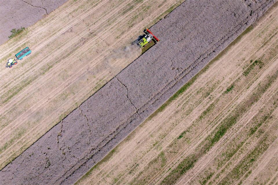 Landwirtschaft ist für MV ein wichtiger Wirtschaftszweig.Jens Büttner/dpa