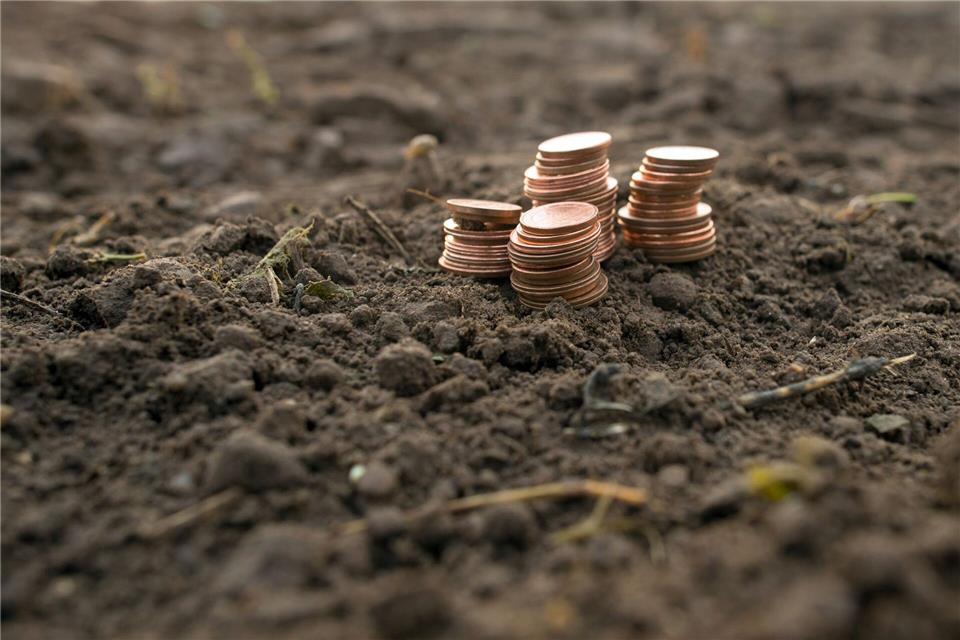 Landwirtschaftliche Flächen kosteten laut Gutachtern Anfang dieses Jahres durchschnittlich 2,79 Euro pro Quadratmeter. (Symbolbild)picture alliance / Klaus-Dietmar Gabbert/dpa-Zentralbild/ZB