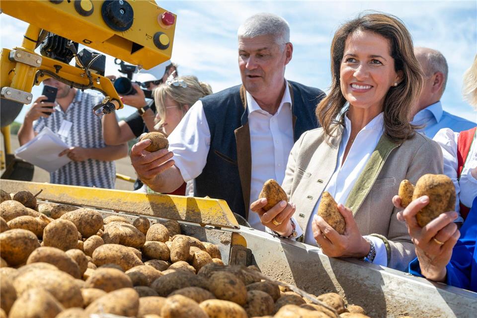 Bayerns Anbaufläche für Kartoffeln wächst - Schädling droht Landwirtschaftsministerin Michaela Kaniber informierte sich in Niederbayern über den Verlauf der Kartoffelernte.Peter Kneffel/dpa