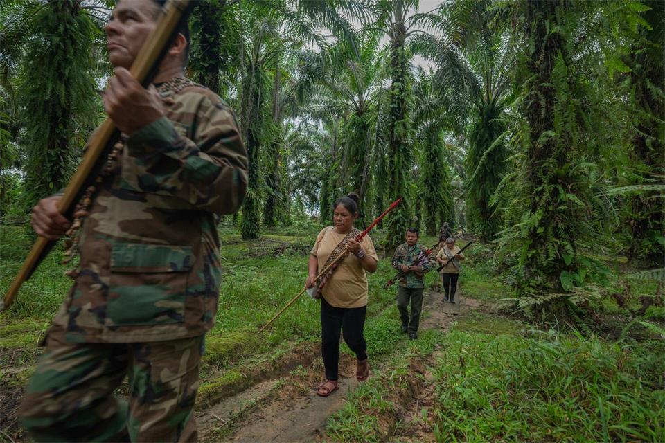 Lateinamerika bleibt ein besonders gefährlichstes Pflaster für Umweltschützer. (Archivbild)Leslie Searles/Global Witness/dpa