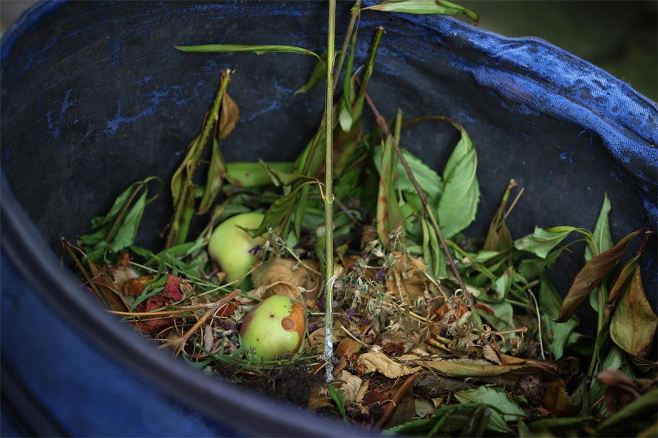 Laub, Obst- und Grünschnitt lassen sich kompostieren und später nutzen, um den Boden zu verbessern.picture alliance / dpa Themendienst
