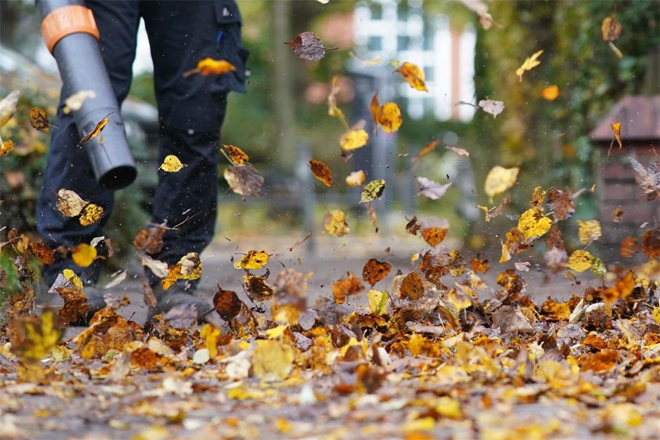 Laub ist ein natürlicher Dünger für den Boden und sorgt für Artenvielfalt im Garten. (Symbolbild)Marcus Brandt/dpa
