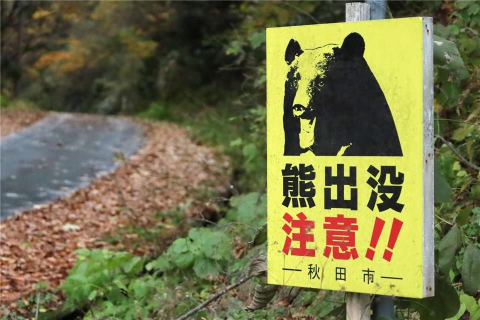 Laut Behördenangaben wurden seit April landesweit 13 Menschen von Bären getötet. (Archivbild)Uncredited/kyodo/dpa