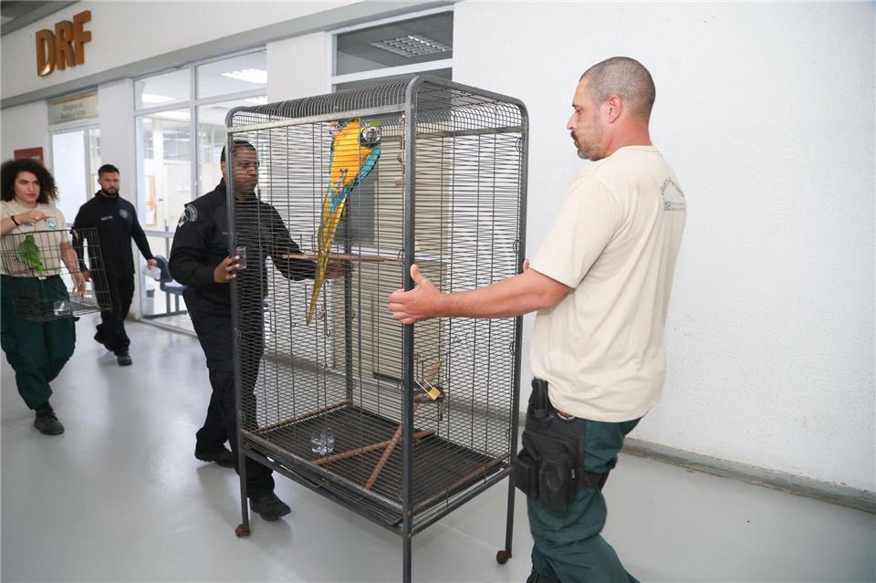 Laut Polizei bringt der Tierhandel der organisierten Kriminalität Millionen ein.Fabiano Veneza/SEAS RJ/dpa