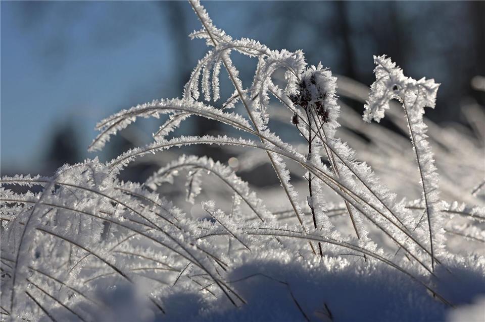 Laut Prognose entsteht am Donnerstag und in der Nacht zu Freitag leichter Frost. (Archivbild)Matthias Bein/dpa