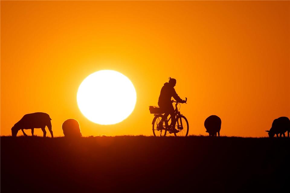 Laut WWF-Ranking sind die Radwege in Schleswig-Holstein gut ausgebaut (Symbolbild).Daniel Reinhardt/dpa
