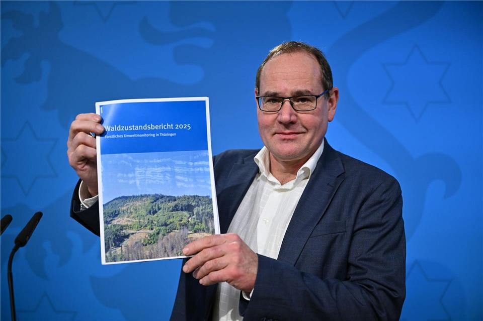 Laut Waldzustandsbericht sind mehr Waldflächen im Freistaat gesund. Martin Schutt/dpa