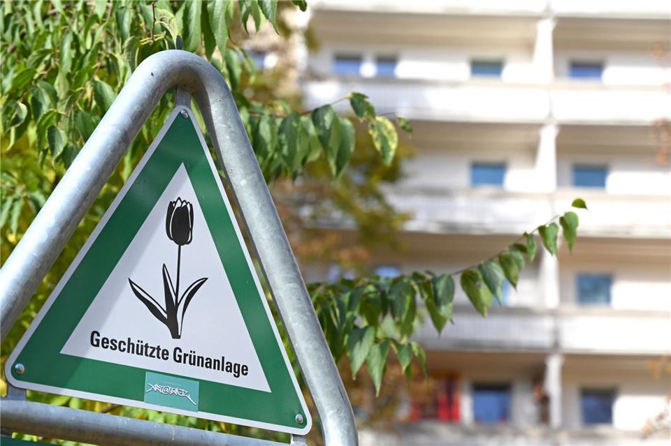 Laut dem neuen Klimaanpassungsgesetz soll es in Berlin mehr Bäume und mehr „Kühlinseln“ in Form von Grünanlagen geben. Elisa Schu/dpa