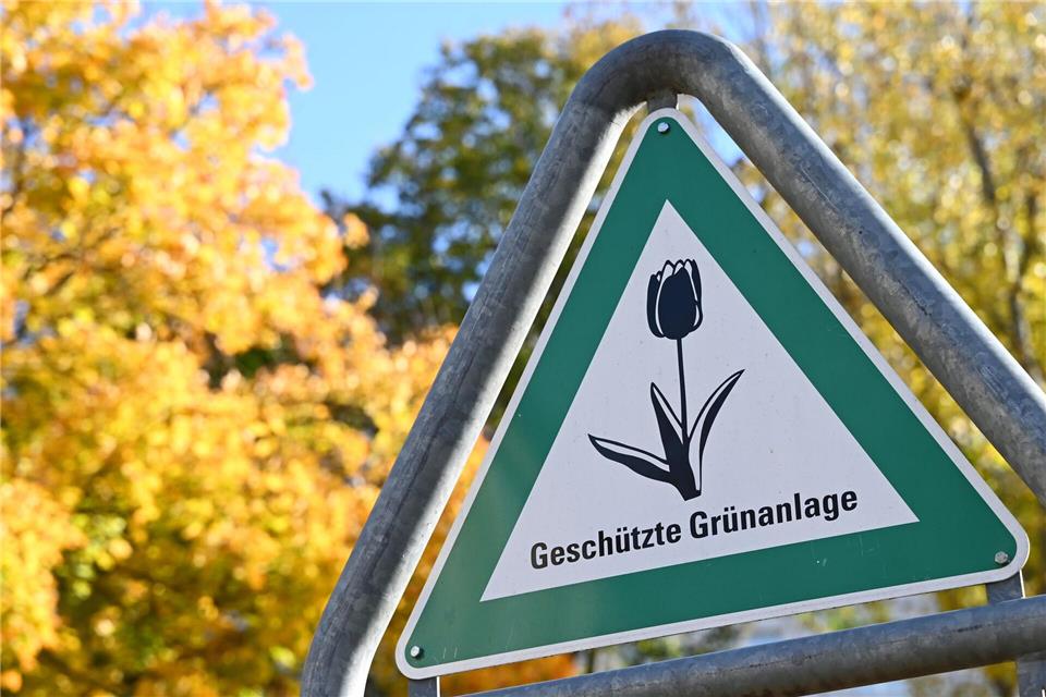Laut dem neuen Klimaanpassungsgesetz soll es in Berlin mehr „Kühlinseln“ in Form von Grünanlagen geben. Elisa Schu/dpa