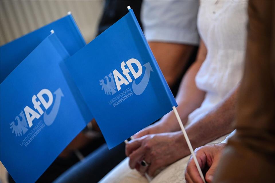 Laut einer Umfrage spricht sich die Mehrheit der Brandenburgerinnen und Brandenburger gegen eine Regierungsbeteiligung der AfD aus (Archivbild).Britta Pedersen/dpa