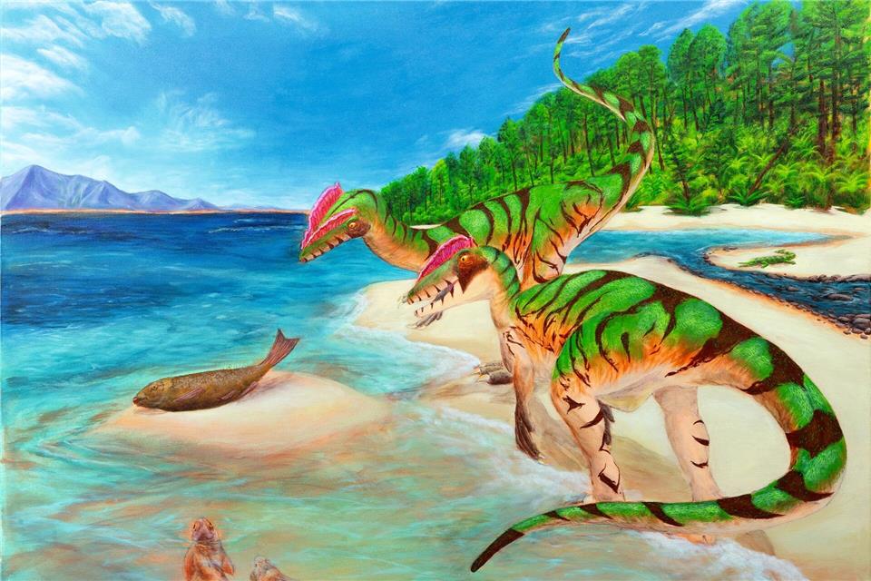 Lebendrekonstruktion des Raubsauriers Lophostropheus von dem Paläokünstler Karim Zanaty.Karim Zanaty/Dinosaurierpark Teufelsschlucht/dpa