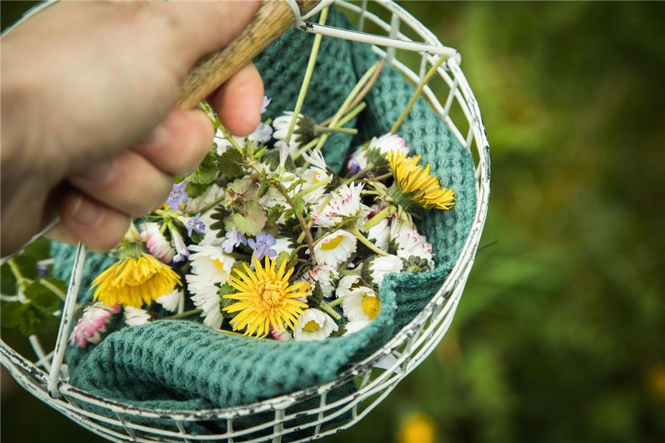 Leckere Vielfalt: Zahlreiche Blüten von Kräutern, Zier- und Wildpflanzen eignen sich hervorragend als dekorative und aromatische Ergänzung für Speisen.Christin Klose/dpa-tmn