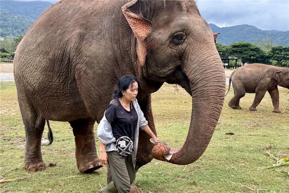 Lek ist für ihre Arbeit vielfach ausgezeichnet worden.Carola Frentzen/dpa
