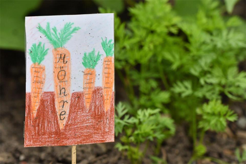 Lerngärten werden im Saarland gefördert, um eine nachhaltige Entwicklung umzusetzen. Nicht nur Schulen und Kindergärten werden jetzt dabei unterstützt. (Symbolbild)Martin Schutt/dpa-Zentralbild/dpa