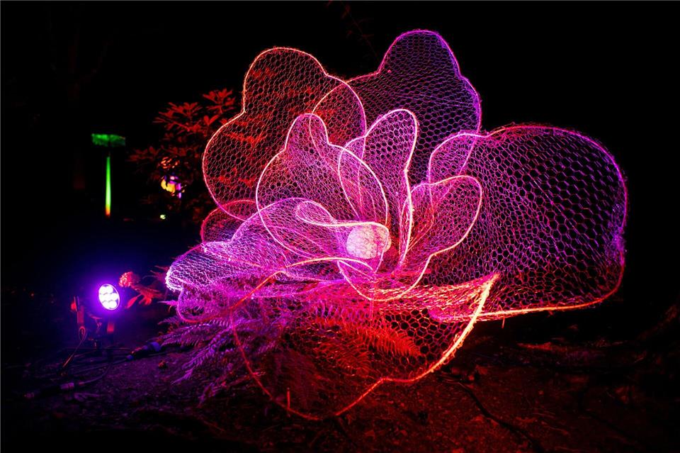 Licht, Kunst und Natur werden bei der Illumination miteinander verbunden. Hauke-Christian Dittrich/dpa