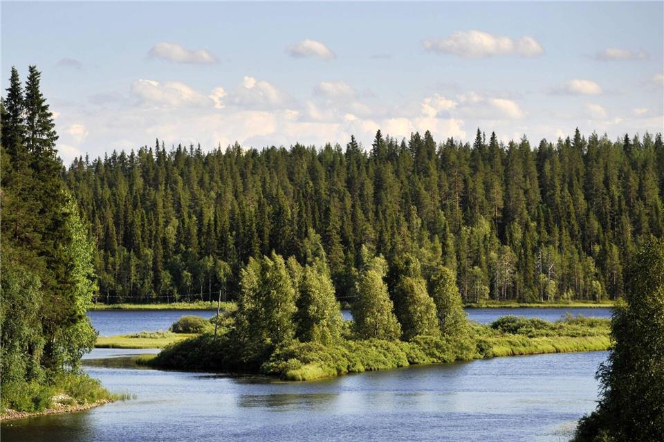 Liegt es an den finnischen Wäldern, dass die Nordeuropäer so glücklich sind? (Symbolbild)Vesa Moilanen/Lehtikuva/dpa