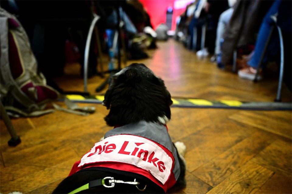 Linker Hund.Sebastian Gollnow/dpa