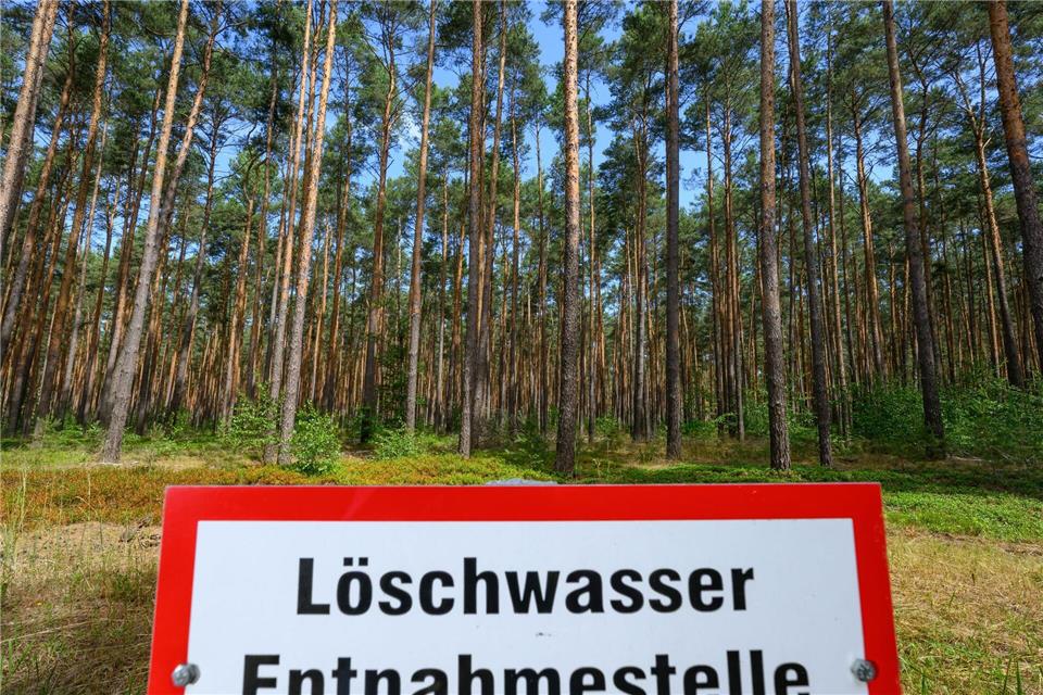 Löschwasser ist in diesen Tagen besonders wichtig. Die Waldbrandgefahr ist hoch. Patrick Pleul/dpa
