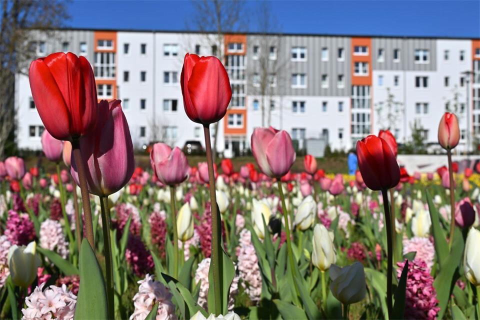 Los ging es im April für die Landesgartenschau in Leinefelde-Worbis. (Archivbild)Martin Schutt/dpa