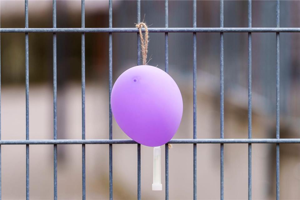 Luftballons sind in der Hoffnung aufgehängt worden, ihr Anblick könnte Pawlos aus einem Versteck locken.Andreas Arnold/dpa