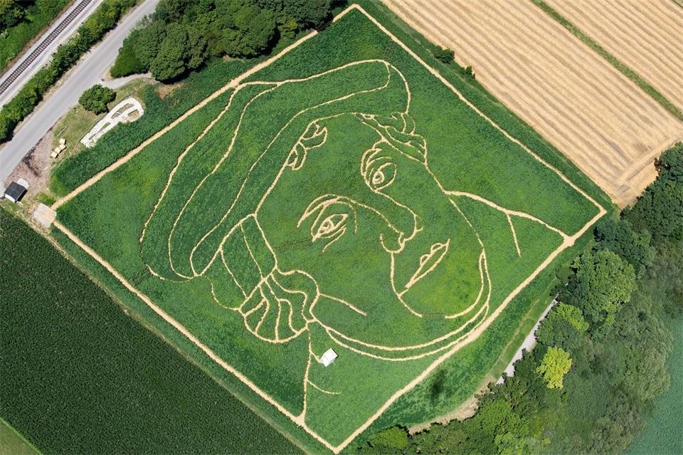 Luther in einem bayerischen Maisfeld - ansonsten ist Bayern überwiegend katholisch. (Symbolbild)picture alliance / Peter Kneffel/dpa