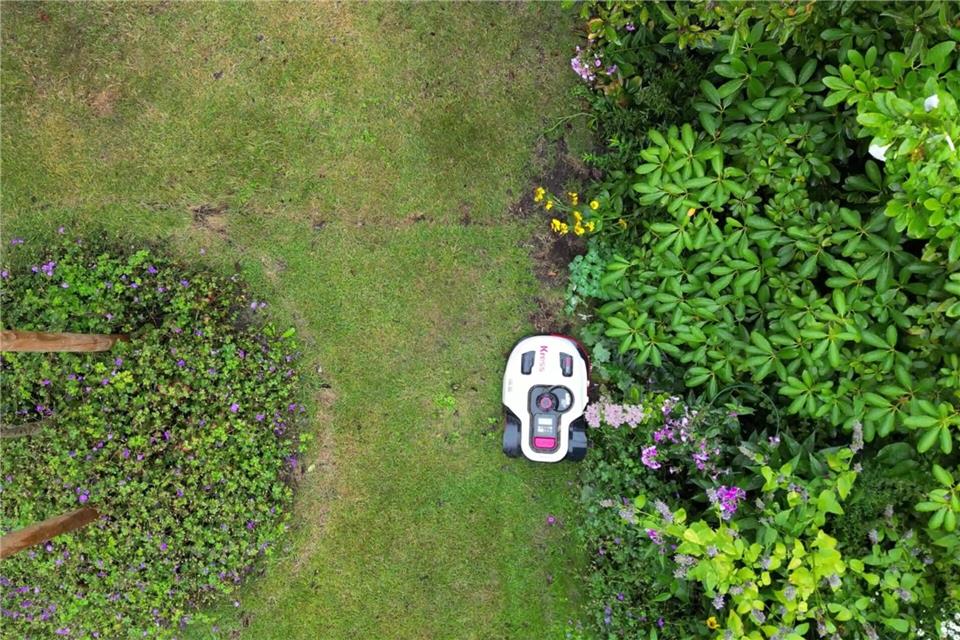 Mähroboter können Kleintieren nachts großen Schaden zufügen. (Archivbild)Sascha Thelen/dpa