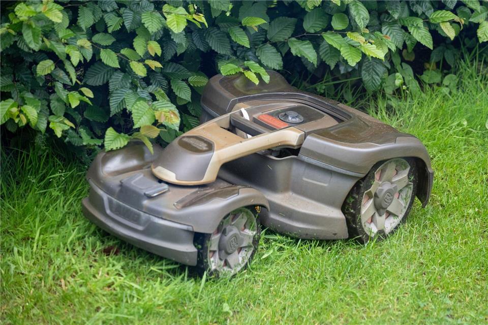 Mähroboter können für Igel zur tödlichen Gefahr werden. (Symbolbild)Monika Skolimowska/dpa