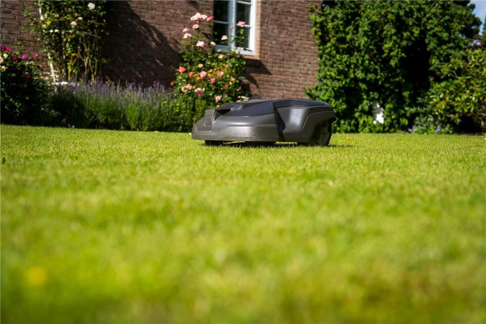 Mähroboter können für kleine Tiere gefährlich sein – daher nur mit Vorsicht und unter Aufsicht einsetzen.Benjamin Nolte/dpa-tmn