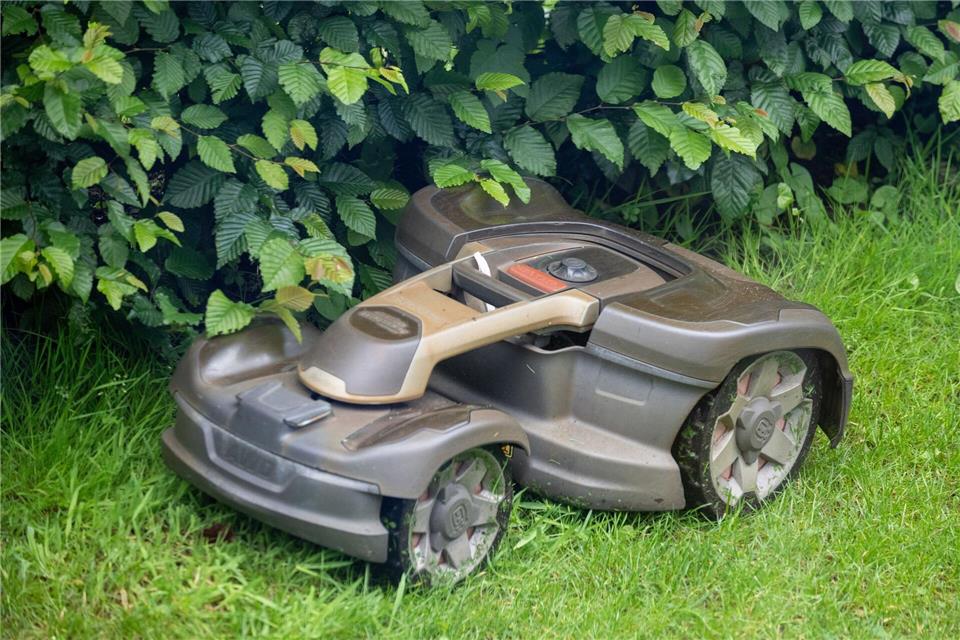 Mähroboter können vor allem abends und nachts Igel schwer und sogar tödlich verletzen. (Symbolbild)Monika Skolimowska/dpa
