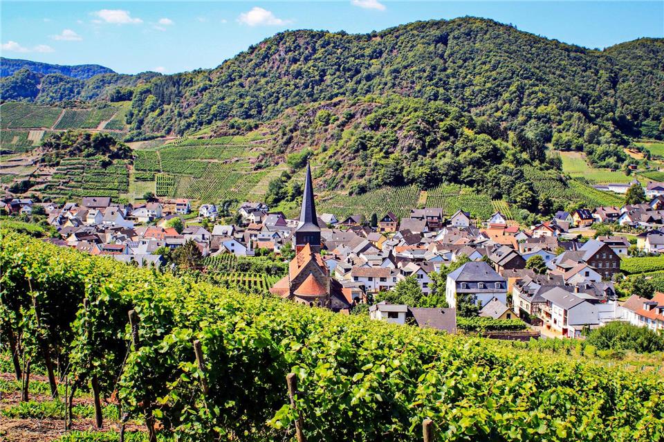 Malerisch gelegen in den Weinbergen: Mayschoß. Hier baut die Winzergenossenschaft Mayschoß-Altenahr neue Produktions- und Lagerflächen.Bernd F. Meier/dpa-tmn