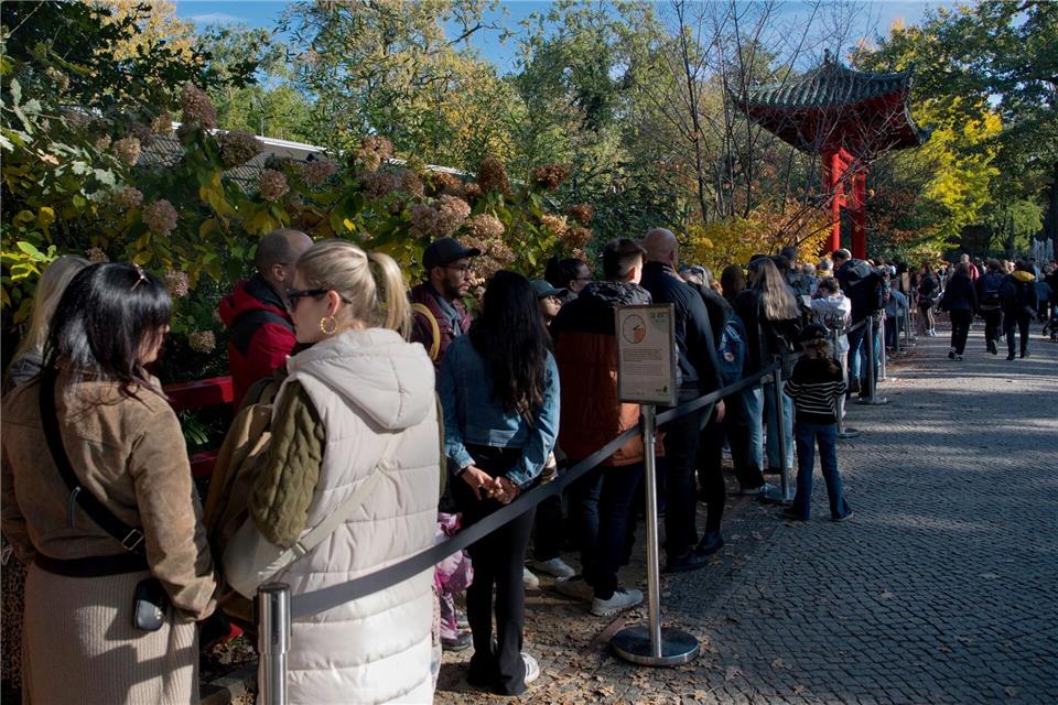 Manch ein Panda-Fan stellt sich sogar zwei Mal in die Schlange.Paul Zinken/dpa