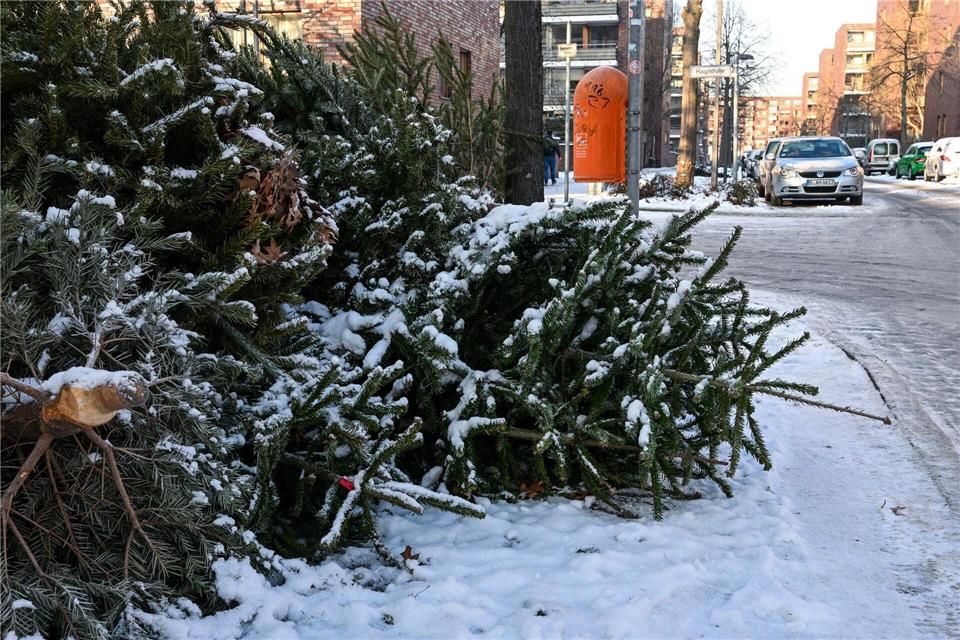 Manche Bäume liegen schon ausrangiert am Straßenrand.Jens Kalaene/dpa