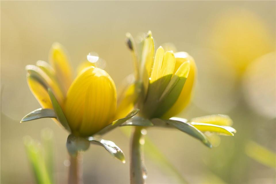 Manche Menschen reagieren stärker als andere auf Wetteränderungen. (Symbolbild)Sebastian Kahnert/dpa