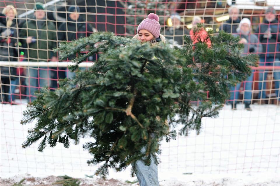 Manche Teilnehmer beim Weihnachtsbaumwerfen sind vor lauter Baum kaum noch sichtbar.Uwe Anspach/dpa