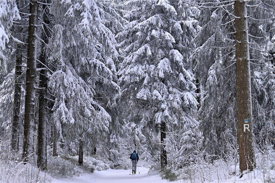Manche genießen den Winterspaziergang, doch für andere ist die anhaltende Kälte eine enorme Belastung.Martin Schutt/dpa