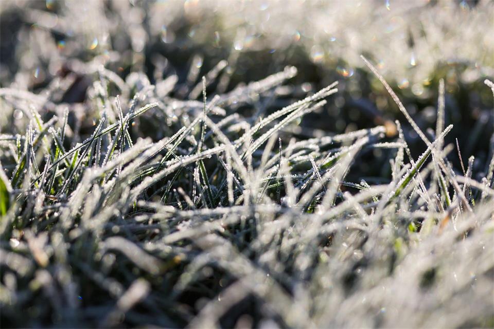Mancherorts ist Bodenfrost vorhergesagt. (Archivbild)Philipp von Ditfurth/dpa
