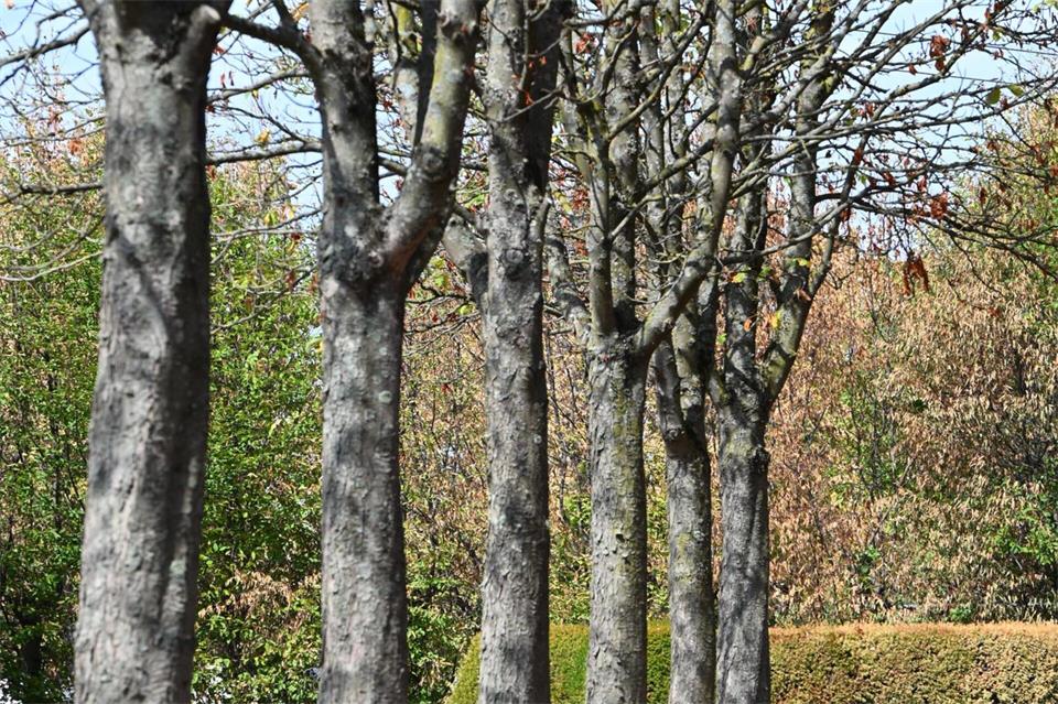 Mancherorts sieht es eher nach Herbst als nach Sommer aus.Valentin Gensch/dpa