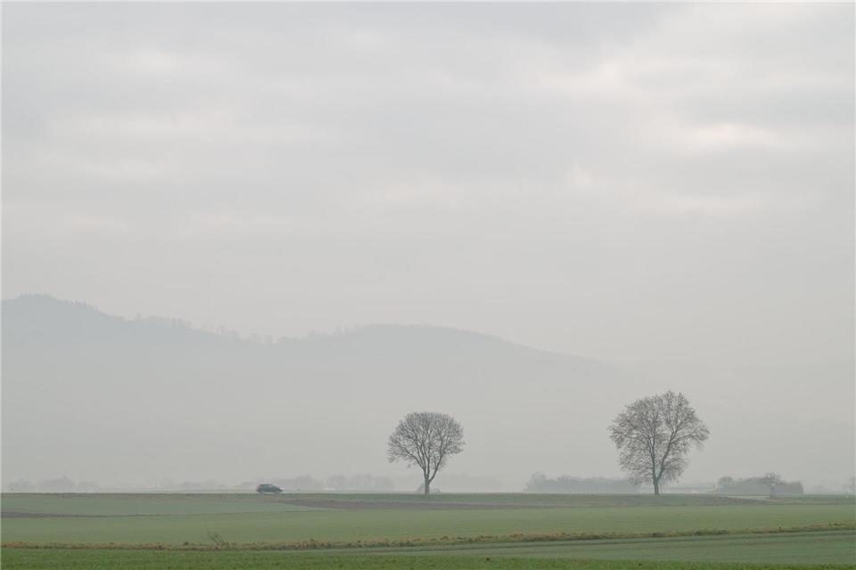 Mancherorts soll es laut DWD neblig bleiben. (Archivbild)Uwe Anspach/dpa