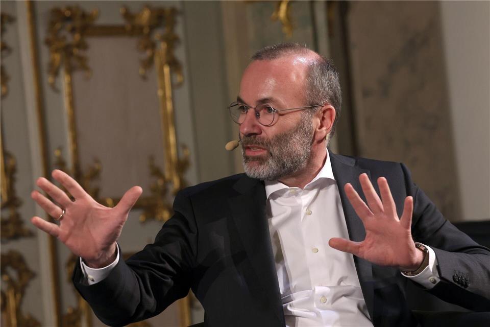 Manfred Weber grenzt sich erneut gegen die AfD ab. Karl-Josef Hildenbrand/dpa