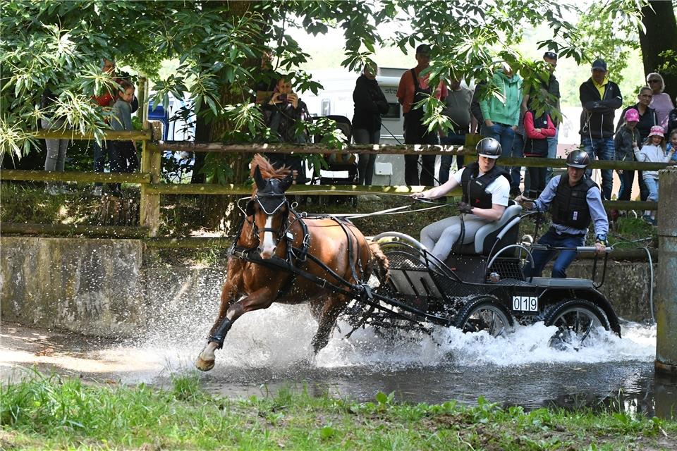 Manöver im Wasser: Cäcilia Gerwert vom RFV Reken steuerte ihr Gespann zur Kreismeisterschaft.