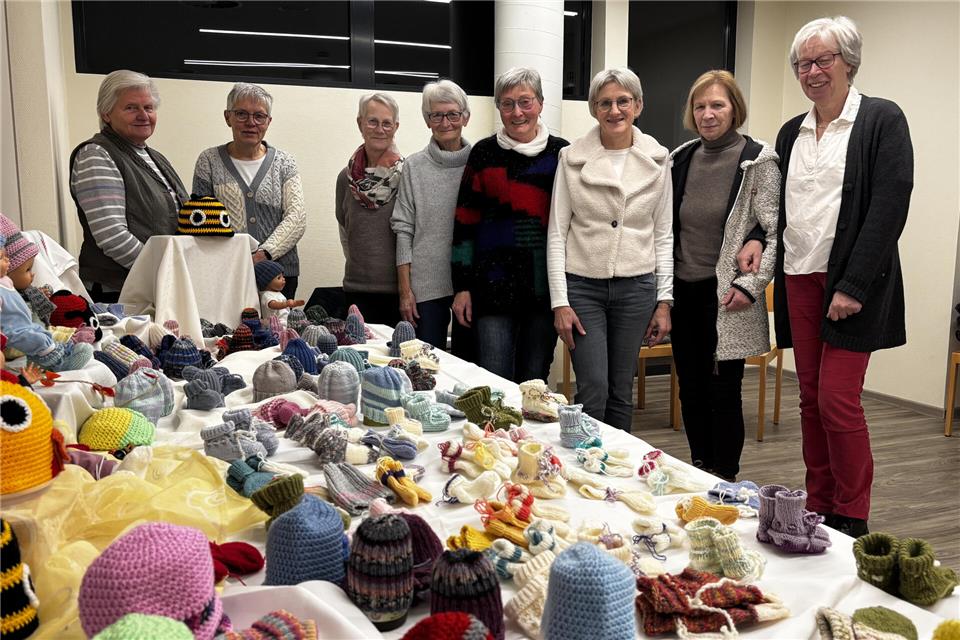 Margret Seyer (von links), Antonia Eiling, Mathilde Ossing, Hannelore Flecke, Monika Grüter, Sigrid Hagemann, Agnes Rottbeck und Brigitte Krampe haben in den vergangenen Wochen viel gestrickt. Aus der Gruppe fehlen auf dem Foto Adelheid Schemmer und Gudrun Jacobi.