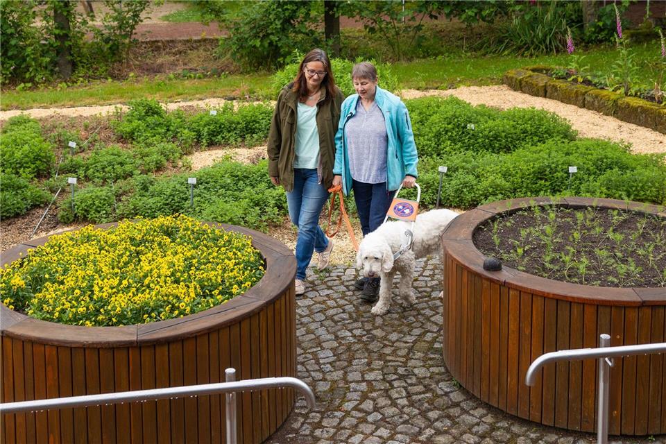 Marion Krause läuft mit Gartentherapeutin Almut Dietze und Blindenhund Stella durch den Blindengarten. Jürgen Lösel/dpa