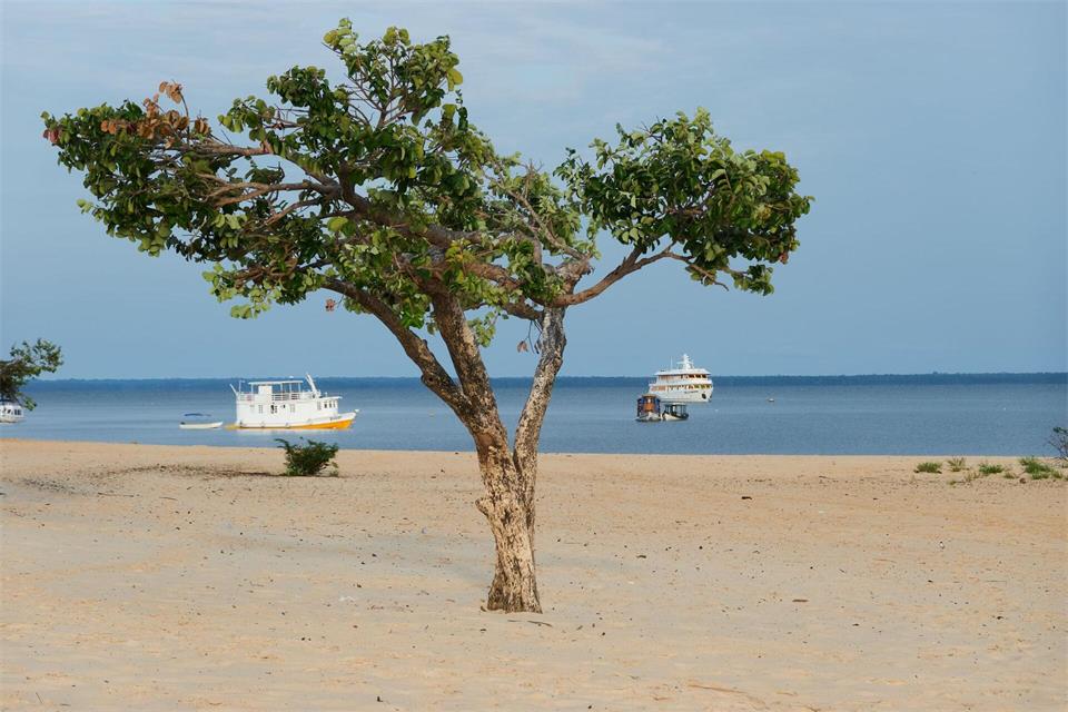 Maritim anmutende Flusslandschaft: Sandstrand in Alter do Chão.Andreas Drouve/dpa-tmn